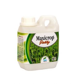 maxicrop paddy-min